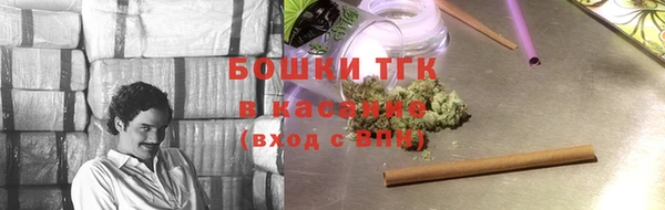 прущие грибы Иннополис